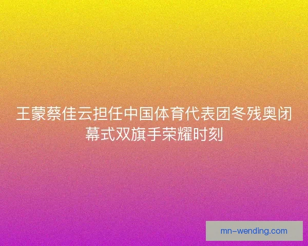 王蒙蔡佳云担任中国体育代表团冬残奥闭幕式双旗手荣耀时刻